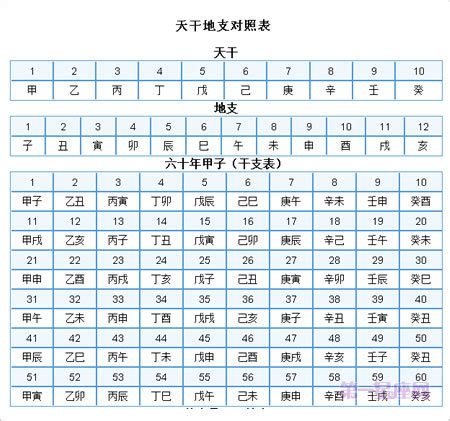 1992 天干地支|天干属性 干支纪年对照表